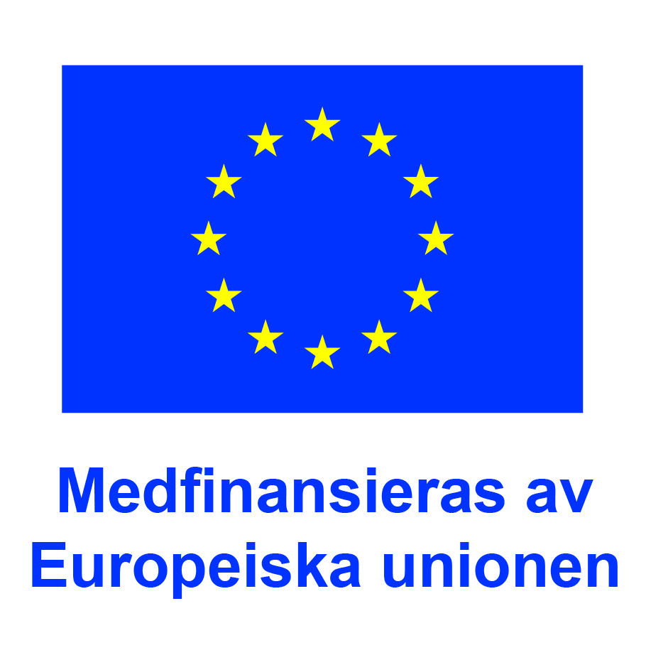 Logotyp-Medfinansieras-av-Europeiska-unionen_POS